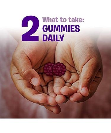 Flintstones Kids Elderberry Gummies | Immunity Support with Vitamin C & Zinc | Gluten-Free Dietary Supplement | 60 Count - Buy Online on GoSupps.com