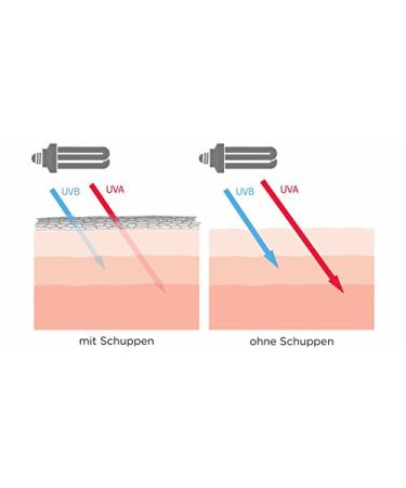 Saalux Dandruff Remover Refill Bottle 200ml | Soft-Tip Applicator Refill | International Shipping Available - Buy Online on GoSupps.com