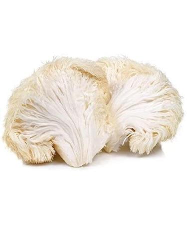 Organic Lion's Mane Mushroom Powder 100g - Sol Nutrition | Pack of 1 (500g) - Buy Online on GoSupps.com