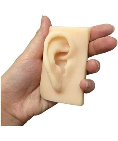 Silicone Ear Model - 1 Pair Silicone Ear Acupuncture Practice Model - Flexible Earmold Artificial Simulation Human Ear for Acupuncture Studs Earring Earphone - Buy Online on GoSupps.com