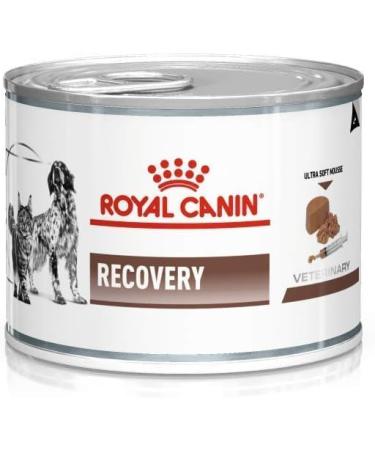 Royal Canin Veterinary Recovery | 12 x 195g | Complete Dietary Food for Adult Dogs and Cats | Ultra Soft High Protein Foam