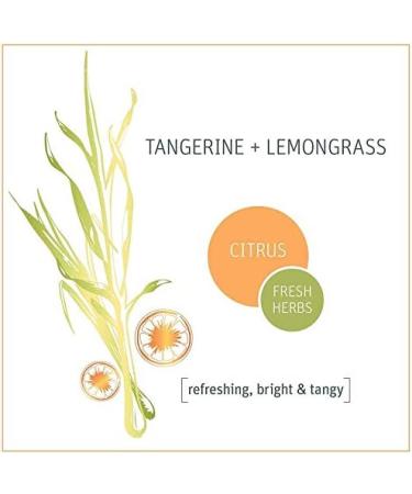Grab Green Hand Soap 12 oz - Tangerine Lemongrass Scent - Plant & Mineral Based - Soothing Aloe - 3 Pack - Buy Online on GoSupps.com