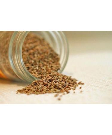 Neel Ayurvedics Ajmo | Ajwain | Carom | Trachyspermum ammi - 250 GM