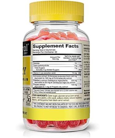 Mason Natural Elderberry Gummies with Echinacea & Propolis - Raspberry Flavor, 60 Count - Buy Online on GoSupps.com
