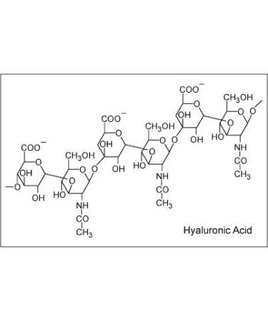 Pure Hyaluronic Acid Serum by Hollyberry for Professional Hydration Anti Ageing Bring Vibrancy And Youthful Glow To Your Face Best Anti Ageing Total Satisfaction Guaranteed  - Buy Online on GoSupps.com