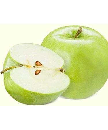 Green Apple Extract Powder - 100% Pure Natural Source of Dietary Fiber & Vitamin C - 200g - Buy Online on GoSupps.com