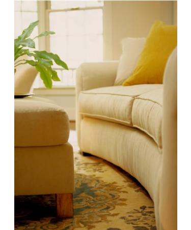 HOWARD Upholstery Couch Carpet Chair Rug and Blanket Cleaner Quickly Removes Stains Dirt and Odors 16 oz Spray Bottle - Buy Online on GoSupps.com