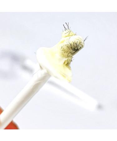 Shop N+B Online: Premium Quality Products with International Shipping | Fast Delivery Worldwide - Buy Online on GoSupps.com