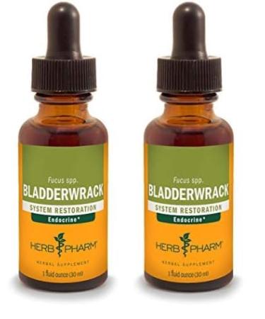 Herb Pharm Bladderwrack Liquid Extract - 1 Ounce (DBLADD01) (Pack of 2) 1 Fl Oz (Pack of 2)