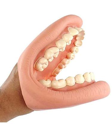 Dental care model demonstration models for tooth brushing practice teaching learning model standard for children gums