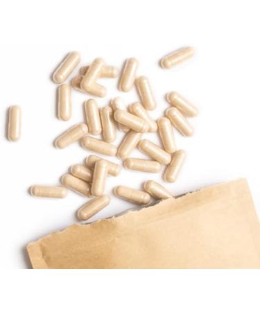 Organic Shatavari Capsules 400mg - 150 pcs | Vegan Indian Asparagus | 100% Pure | Terra Elements - Buy Online on GoSupps.com