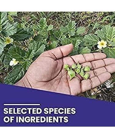 NACHT Gokhru Powder 100Gram - Buy Online on GoSupps.com