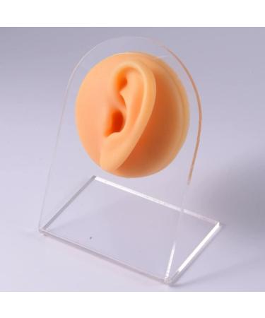 Silicone Ear Model Soft Flexible Fake Ear Piercing Practice Model Silicone Body Parts Realistic Ear Mold for Jewelry Display Teaching Tool Style3 - Buy Online on GoSupps.com