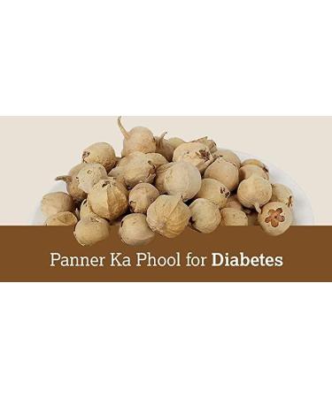 SEP VS Products Paneer Flower l Paneer Doda Phool for diabetes | Indian Rennet 50g - Buy Online on GoSupps.com