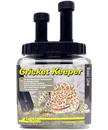 Lucky Reptile Cricket Keeper for Keeping Feeder Insects 1 Item (Pack of 1) - Buy Online on GoSupps.com