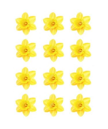 12 x PRECUT DAFFODIL EDIBLE WAFER CUPCAKE TOPPERS CAKE DECORATION - Buy Online on GoSupps.com