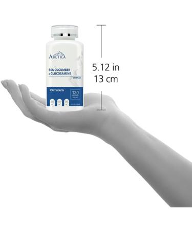 Arctica Food Sea cucumber & Glucosamine Complex Capsule Joint Health 600 mg 120 caps (1) - Buy Online on GoSupps.com