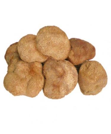Dried Lion's Mane Mushrooms - 8 oz. Life Gourmet Shop 8 Ounce