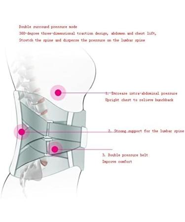 Adjustable Self-Heating Tourmaline Magnetic Therapy Waist Belt | Lumbar Support & Back Pain Relief - International Shipping - Buy Online on GoSupps.com