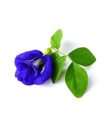 Wild Hibiscus Blue-Tee: 100% Pure Butterfly Pea Flower Tea - 20 Teabags, 1.1 oz - Buy Online on GoSupps.com
