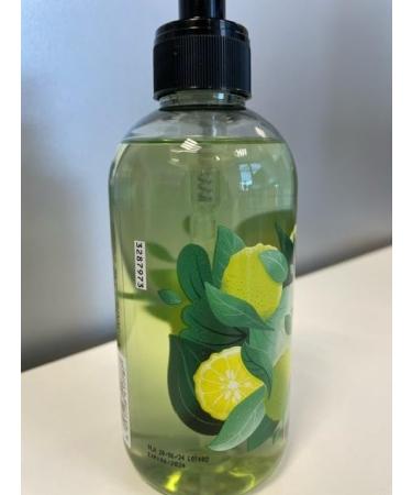  Sagrotan Sagrotan Fresh and Fruity Hand Soap - Moisturizing Liquid Soap with a Fruity Scent - 5 x 300 ml Hand Soap - Buy Online on GoSupps.com