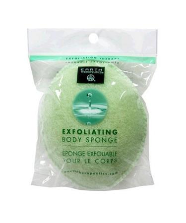 Earth Therapeutics Body Sponge Exfoliating 1 each (Pack of 4)