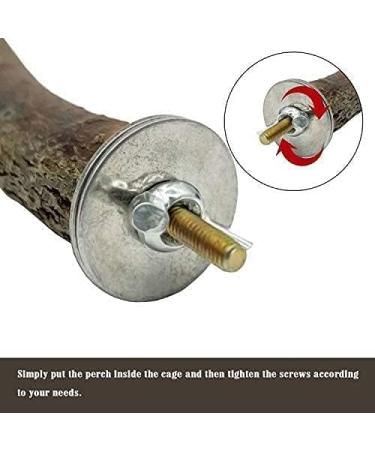 10-Piece Natural Bird Accessories for Budgies Canaries & Lovebirds - Gionar Climbing Grinding & Standing Cage Toys - Buy Online on GoSupps.com