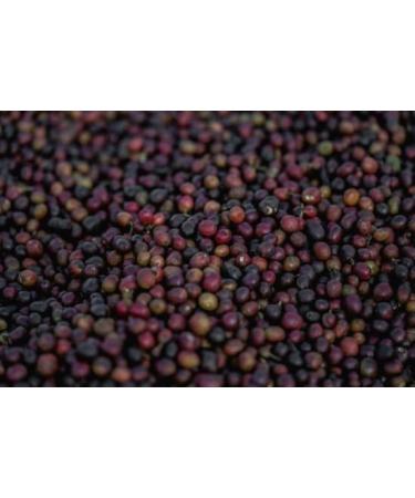 West End Coffee Roasters Ethiopia Chelchele Top Grade Single Origin Medium Roast Whole Bean (12oz/340.2g x 3) Ethiopia Chelchele - med roast 113.33 g (Pack of 3) - Buy Online on GoSupps.com