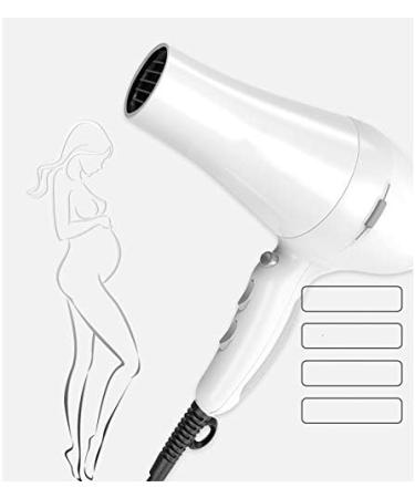 ADITAM Ceramic Hair Dryer Without Anti-Low Radiation Non-Asbestos Hair Dryer Tube Pregnant Women Baby Children Hair Salon Gale Special Mica/B Double The Comfort - Buy Online on GoSupps.com