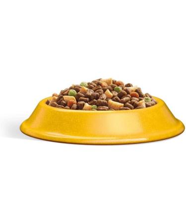 Pack of 12 Chicken Adult Dry Cat Food 300g - Complete dry pet food for adult cats 1+ 12x300g 3.6 kg Cat theme Single Oven gloves Chicken 1 count (Pack of 13) - Buy Online on GoSupps.com