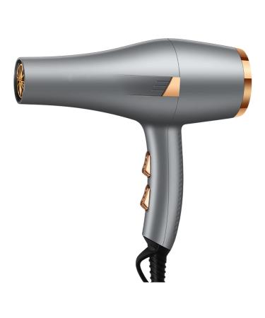 Professional Hair Dryer Salon Hairdryer 2000W DC Motor 2 Speed/3 Heat Settings Constant Temperature Reduce Frizz and Static Suitable with Diffuser & Concentrator for Salon and Home Use B Small