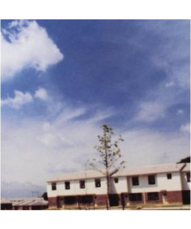 Strain Of Positive Thinking