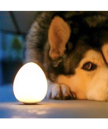 UOVA Portable EGGIE LED Night Light Mosquito Repellent Waterproof Pool Camping DIY Mood Lamp Safe for Baby Kids Adults - Buy Online on GoSupps.com