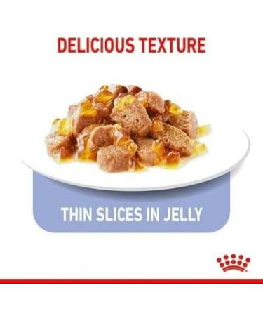 Royal Canin Light Weight Care in Jelly Adult Wet Cat Food 85g (Pack of 48) - Buy Online on GoSupps.com