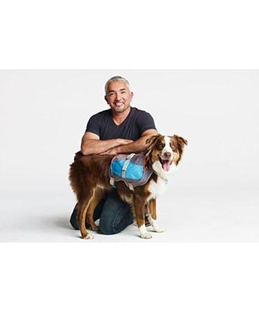 Cesar Millan Dog BackpackTM Large 41 cm L x 64 cm W x 2 cm H - Buy Online on GoSupps.com