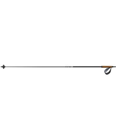 Fischer Nordic Skiing Lightweight Diamond ALC Grey/Asphalt Poles 125 cm | High-Performance - Buy Online on GoSupps.com