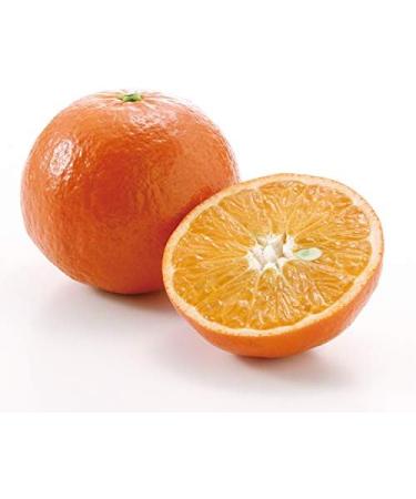 Nelis Yard Remedy's Frankincense Facial Serum (Milk Essence) 30ml - Buy Online on GoSupps.com