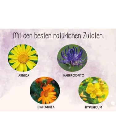 Physio Gel 2.5 fl oz - Arnica Natural Gel for Back, Muscle, Neck, and Joint Discomforts - St. John's Wort Oil, Devil's Claw, Calendula, Menthol - Immediate Relief - Buy Online on GoSupps.com