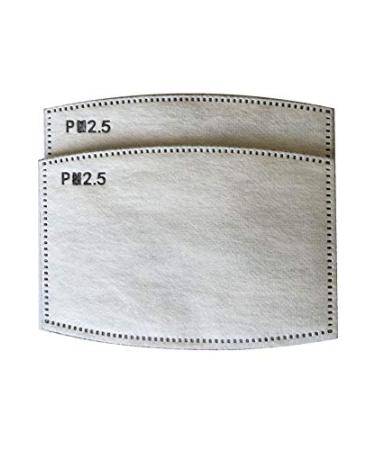 PM2.5 FILTER ACTIVATED CARBON FILTER REPLACEABLE ANTI HAZE FILTERS (30)