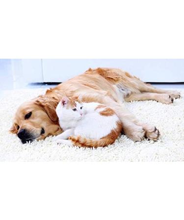 Buy Cat Urinary Tract Health Supplements - Natural Cranberry Comfort for Cats - VETS Recommended - 3 Bottles (270 Treats) - Dogs & Cats - International Shipping - Buy Online on GoSupps.com