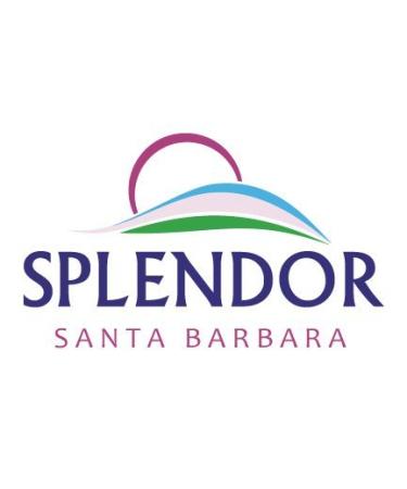 Splendor Vanilla Oatmeal Soap - Handmade Vegan Bar with Coconut Oil, Gluten-Free Oats, Cocoa - Moisturizing Face & Body Soap - Buy Online on GoSupps.com