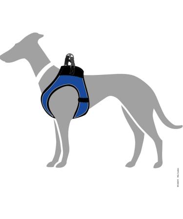 HUNTER HILO COMFORT Harness for Small Dogs - Mesh & Reflective - Blue M | International Shipping Available - Buy Online on GoSupps.com