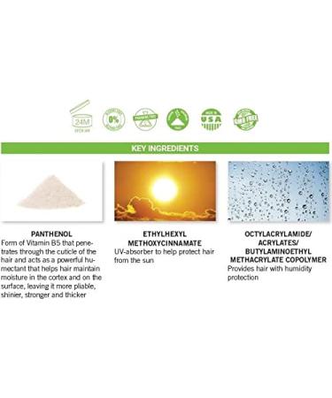 Premium Hair Spray | Humidity Resistant Fast Drying Natural Pro-Vitamin B5 Low Alcohol | Medium Hold Hairspray For All Hairtypes | 10 oz - Buy Online on GoSupps.com