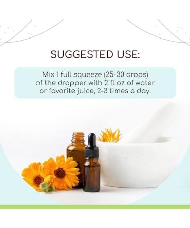 Buy Lobelia B120 Alcohol-Free Herbal Extract Tincture - Natural Concentrated Drops (4 fl oz) | International Shipping Available - Buy Online on GoSupps.com