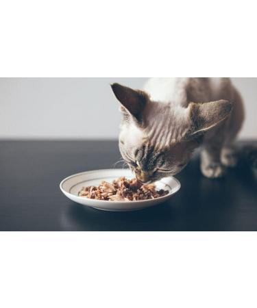 Cat Meaty Treats Bundle Including Encore Tuna Loins Chicken and Tuna Fillets pack of 6x30g Natural Product and Ubipet Catnip 5g - Buy Online on GoSupps.com