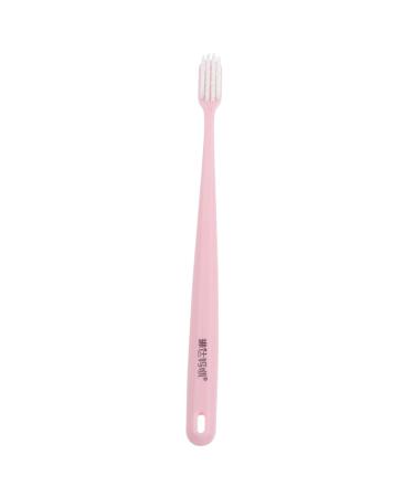 HOMSFOU 1pc Toothbrush dental floss Adult Stick pregnant woman 1 piece (1 pack) As shown