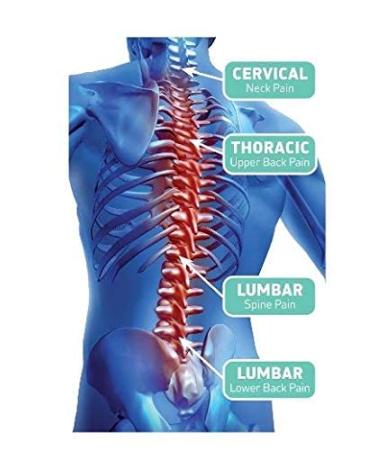 Posture Corrector for Men & Women - Adjustable Upper Back Brace for Pain Relief & Spinal Alignment | Premium Neck & Back Straightener Options - Buy Online on GoSupps.com