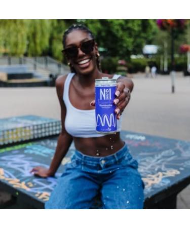 No.1 Living Kombucha Drink 24x 250ml Cans - Passion Fruit - Sugar Free Great Tasting Kombucha with Live Cultures Lightly Sparkling 100% Natural Vegan Passion Fruit & Goji 250 ml (Pack of 24) - Buy Online on GoSupps.com