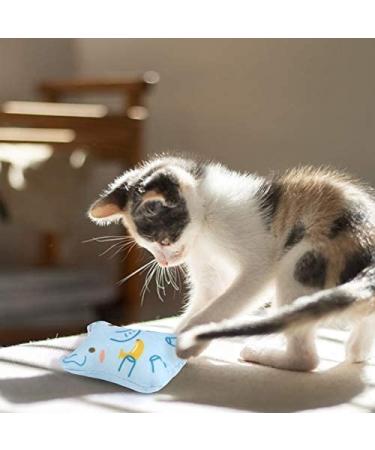 Dorakitten Catnip Toys for Indoor Cats - 5PCS Plush Chew Toys for Teething and Interactive Play | Catnip Filled Kitten Toy with Soft Material and Animal Shapes - Buy Online on GoSupps.com