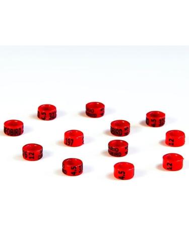 Buy Piumer Wild Bird Rings 2.5mm - Red Color 2024 Edition | International Shipping Available - Buy Online on GoSupps.com